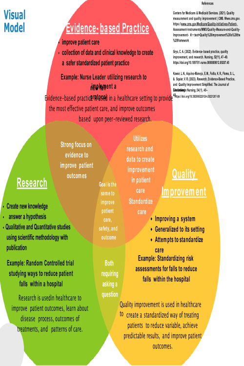 Visual Model Standardize Care Template